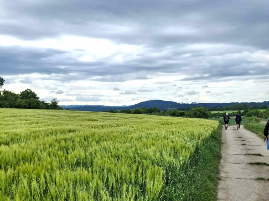 Pochod praha prčice