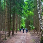 Report z 58. ročníku pochodu Praha-Prčice: radosti a strasti na pražské trase