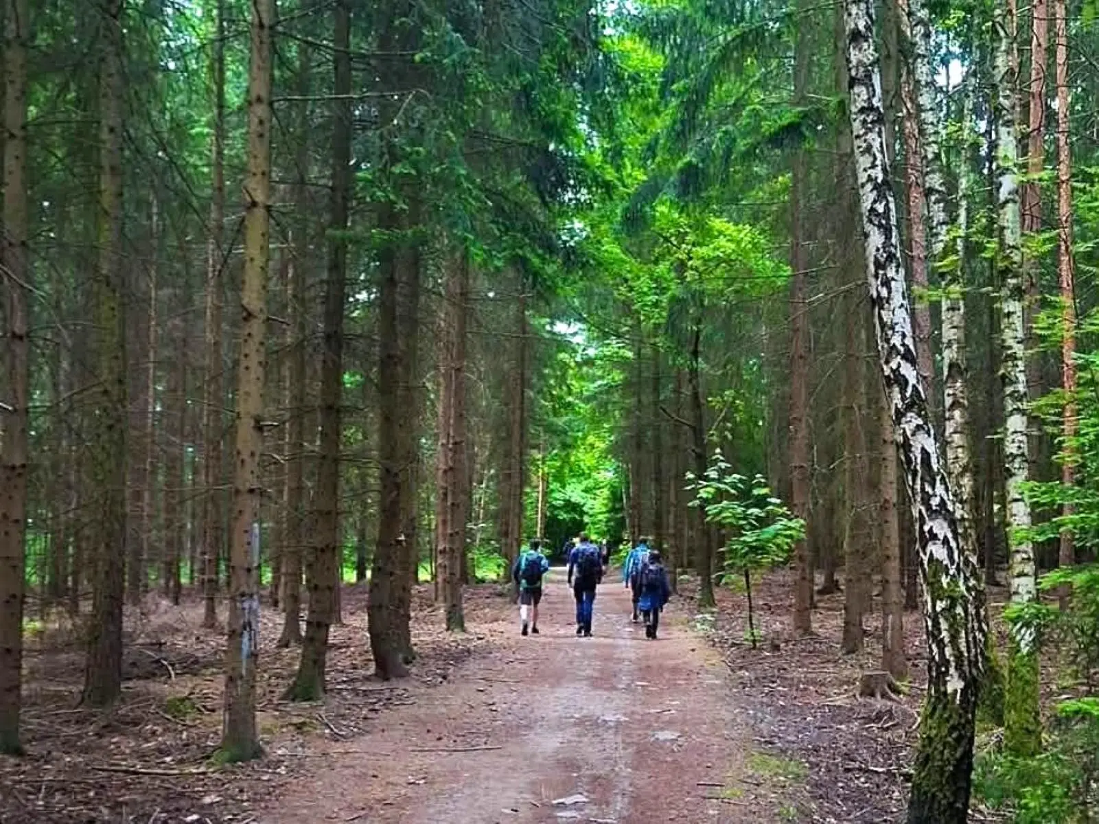 Právě si prohlížíte Report z 58. ročníku pochodu Praha-Prčice: radosti a strasti na pražské trase
